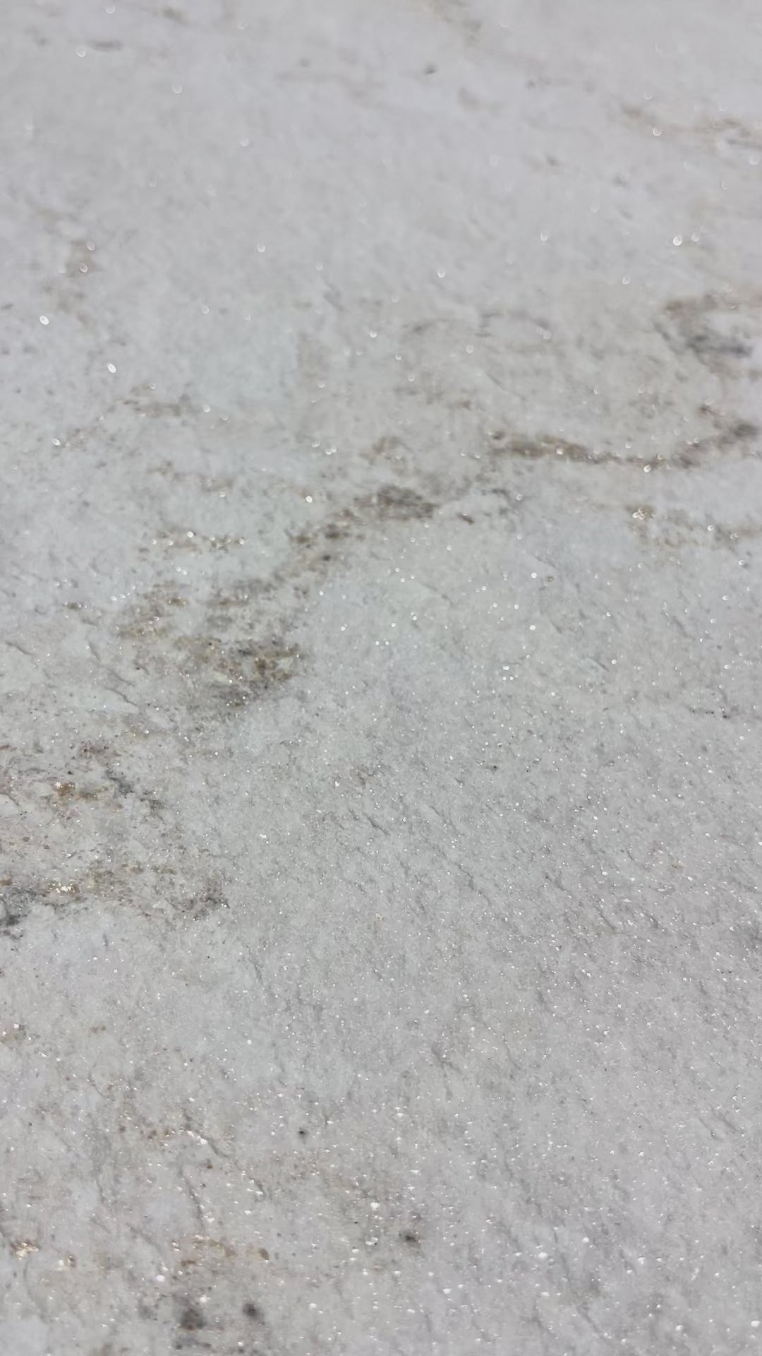 VeloStone™ Palissandro Italy Flexible Natural Stone Wall Panel - 290cmx122cm